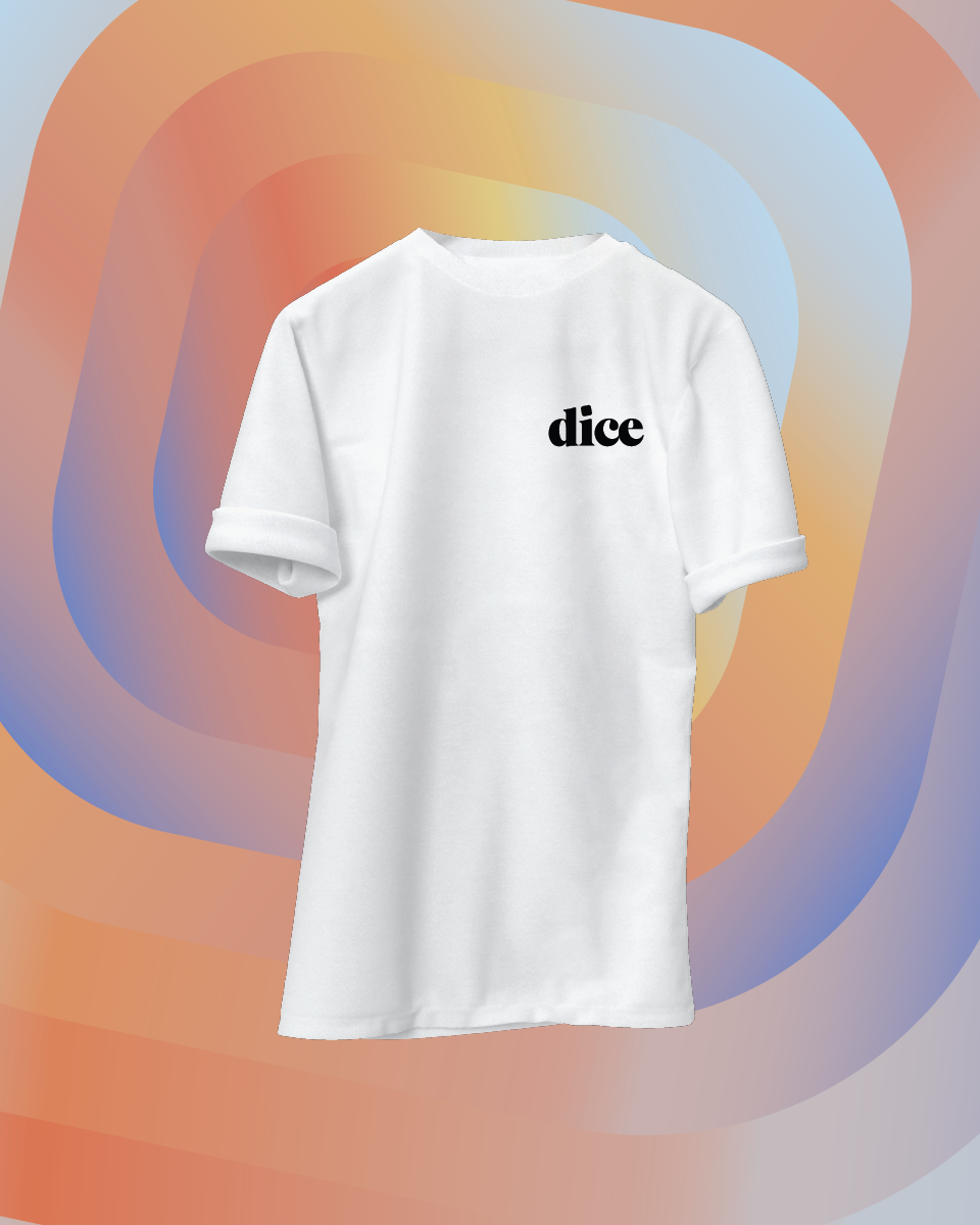 DICE-13